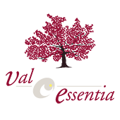 VALESSENTIA CONSULTING GROUP