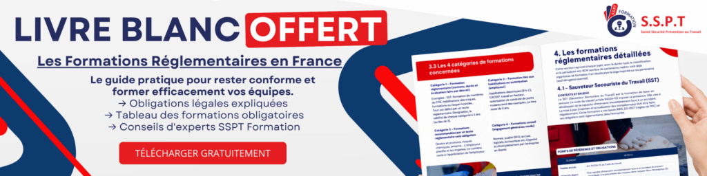 banniere fullpage 2 SSPT Formation