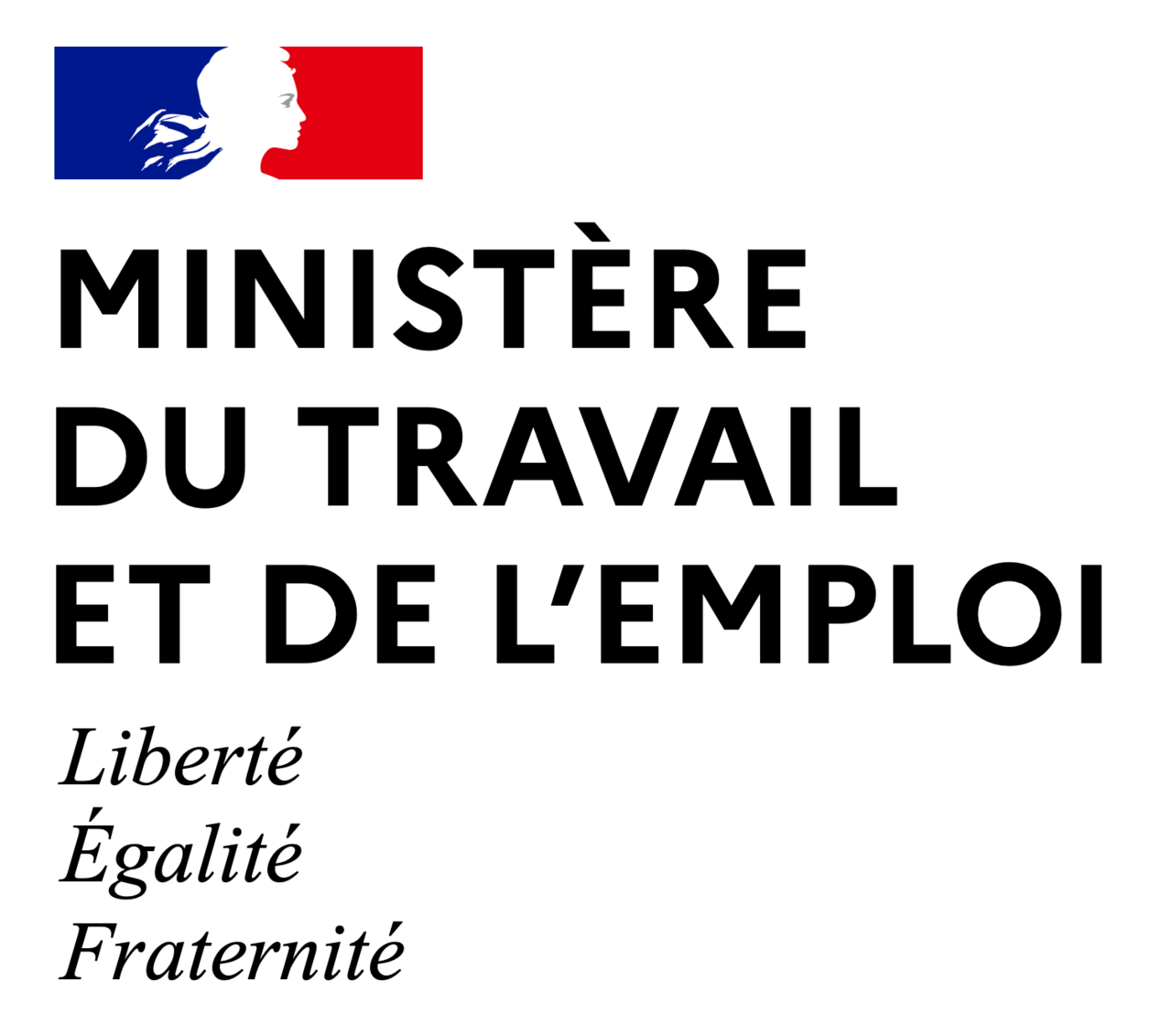 Ministère du Travail et des Solidarités (DGT)