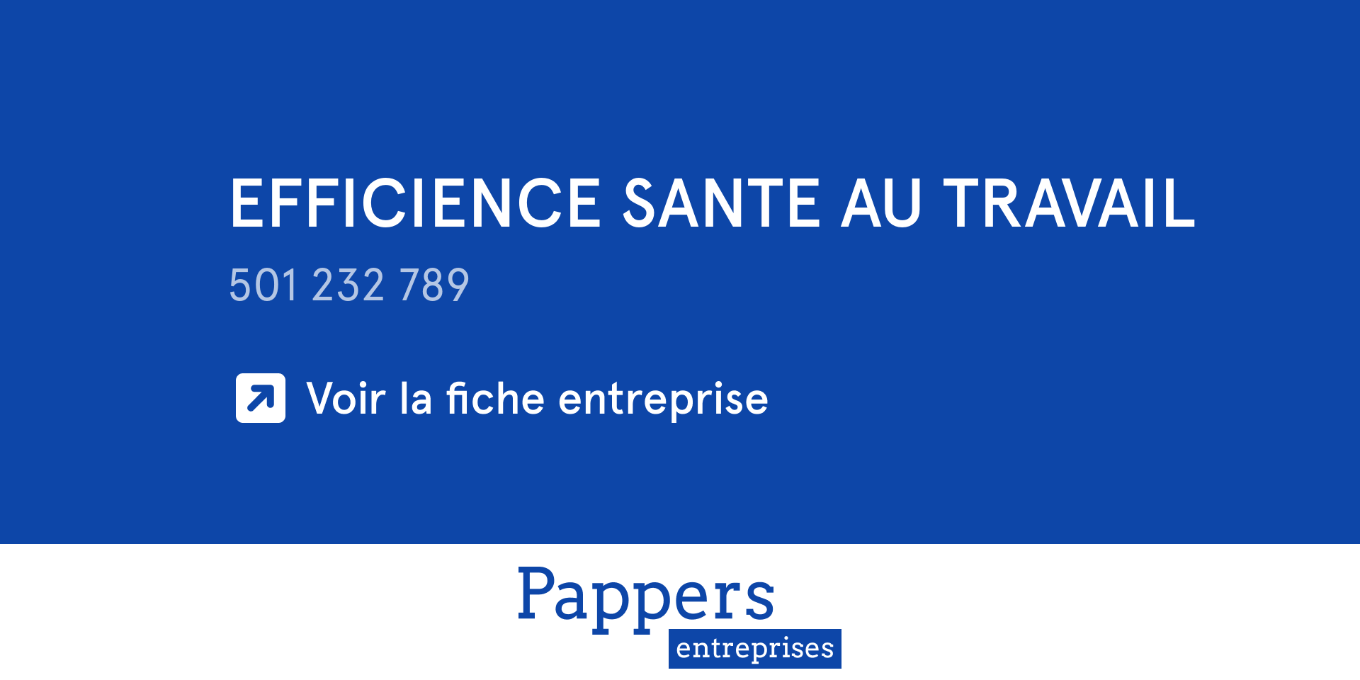 EFFICIENCE Santé au travail