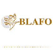 BOUTON RENAUD BLAFO