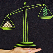 LIANCE Solutions & Conseils _ Formation Prévention des risques Piloter et communiquer la stratégie RSE