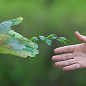 Formation intra entreprise Environnement