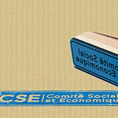 Formation CSE - Secrétaire. Inter Entreprises. Bordeaux et N. Aquitain